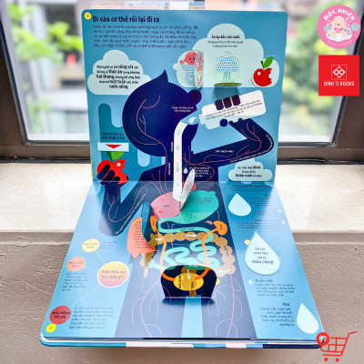 Sách - Tớ yêu khoa học - Chuyến phiêu lưu của nước và não bộ - Đa tương tác lật mở, kéo đẩy và hình dựng 3D - Đinh Tị Books