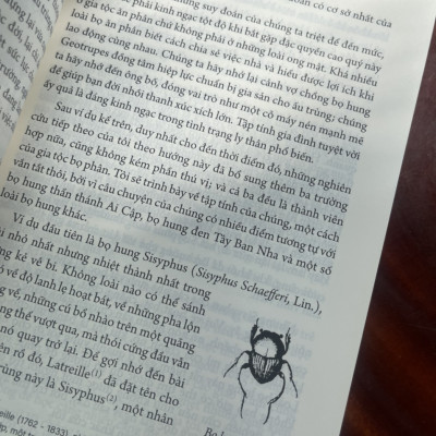 (Ấn bản đầy đủ nhất của Jean-Henri Fabre) CÔN TRÙNG KÝ – Tập 6 - Jean-Henri Fabre - An Lạc Group dịch – Huy Hoàng Bookstore – bìa mềm