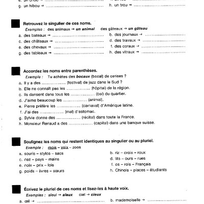 450 Nouveaux Exercices - Grammaire (Niveau Débutant)