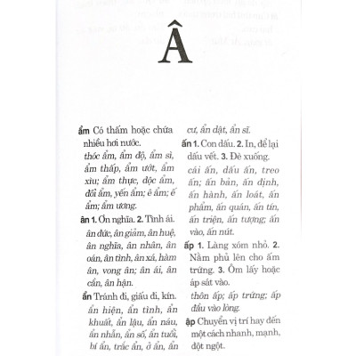 Từ Điển Chính Tả Tiếng Việt - Vanlangbooks