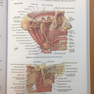 Phẫu Thuật Miệng I - Sách Dùng Cho Sinh Viên Răng Hàm Mặt