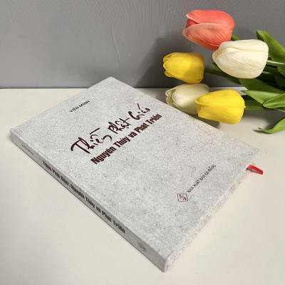 Sách - Thiền Phật Giáo Nguyên Thủy Và Phát Triển (HT Viên Minh)