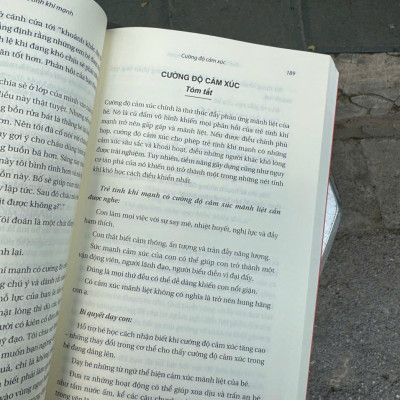 TÍNH KHÍ CỦA TRẺ – Mary Sheedy Kurcinka – Mẹ Ong Bông dịch – Thái Hà – NXB Lao Động