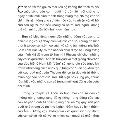 Thần Số Học Chữa Lành _TIME