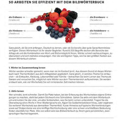 Pons Tự Học Tiếng Đức Qua Hình