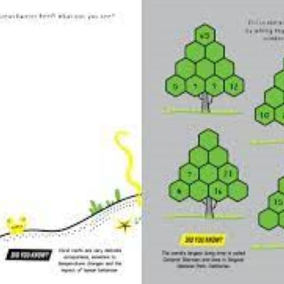 Sách giải đố tiếng Anh: Brain Boosters: Planet Earth Puzzles