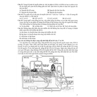 Sách - Bộ Đề Sinh Học - Đầy Đủ Các Dạng Trắc Nghiệm Theo Cấu Trúc Đề Thi Năm 2025 - Theo Chương Trình GDPT Mới - Hồng Ân