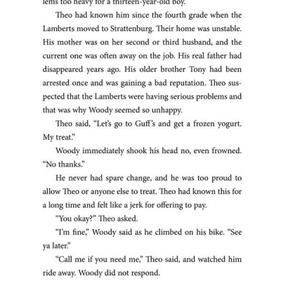 Theodore Boone: The Accomplice