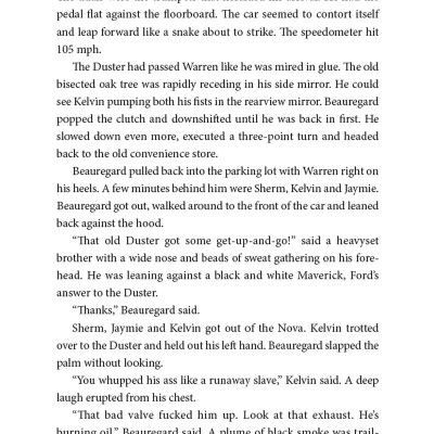 Blacktop Wasteland: A Novel