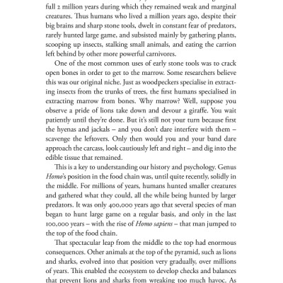 Sapiens : A Brief History of Humankind (Patterns of Life)