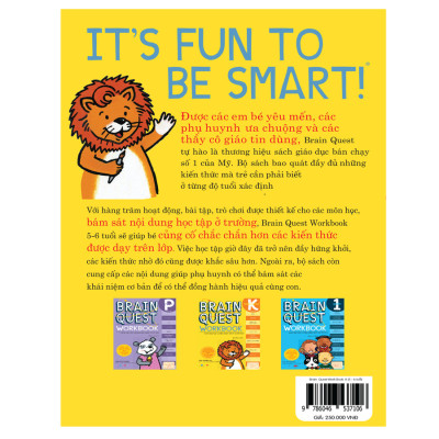 Braint Quest WorkBook - K