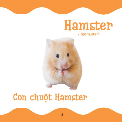 	Cùng Con Trưởng Thành - Từ Điển Bằng Hình Cho Trẻ Mầm Non - Động Vật Nuôi _DTI