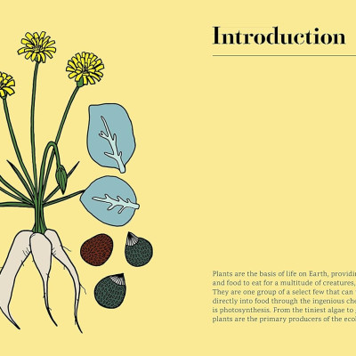 Edible : 70 Sustainable Plants That Are Changing How We Eat 