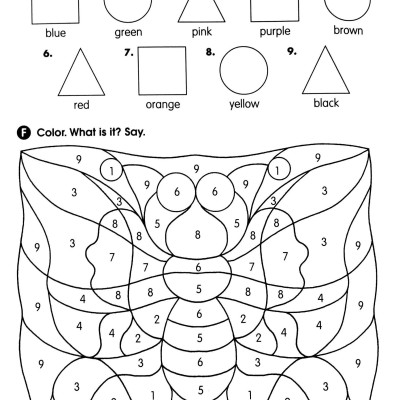 Superkids NE Activity Book 1 with CD