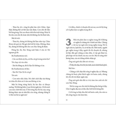 Chuyện Bí Ẩn Thường Ngày