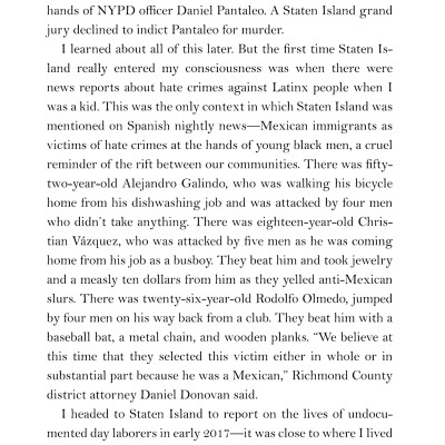 The Undocumented Americans