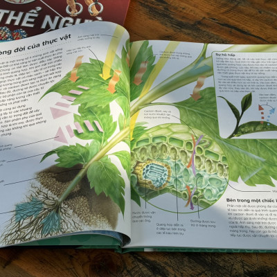 (Bìa cứng) HÀNH TRÌNH KHÁM PHÁ – MÔI TRƯỜNG_Michael Allaby - Ngọc Mỹ dịch- Tân Việt - NXB Mỹ Thuật