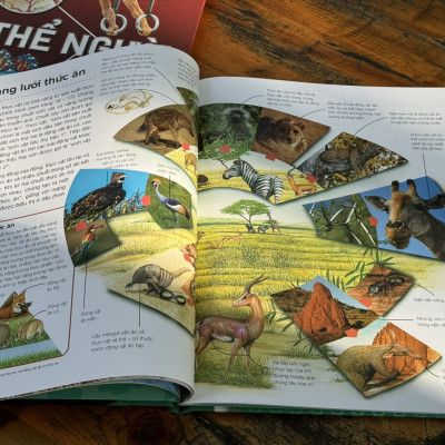 (Bìa cứng) HÀNH TRÌNH KHÁM PHÁ – MÔI TRƯỜNG_Michael Allaby - Ngọc Mỹ dịch- Tân Việt - NXB Mỹ Thuật