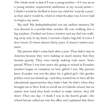 The Undocumented Americans