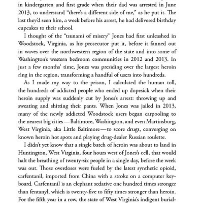 Dopesick: Dealers, Doctors, And The Drug Company That Addicted America