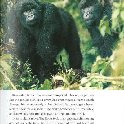 Dominoes 3 Dian and the Gorillas