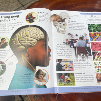 [BÁCH KHOA CHO TRẺ EM] – BÁCH KHOA CƠ THỂ NGƯỜI – MỞ MANG KIẾN THỨC KHƠI DẬY TIỀM NĂNG– tủ sách DK – Đông A – Bìa Cứng in màu toàn bộ