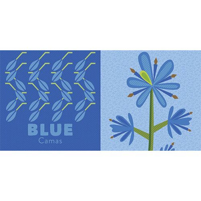 Colors of The Pacific Northwest