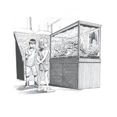 12 Rules for Life: An Antidote to Chaos