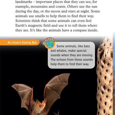 Oxford Read and Discover 5 Great Migrations