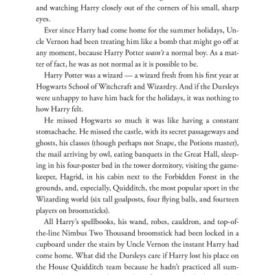 Harry Potter And The Chamber Of Secrets (Harry Potter và Phòng chứa bí mật) (English Book)