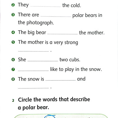 Dolphin Readers Level 3: Wonderful Wild Animals