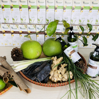 Cặp dầu gội xả thảo dược 300ml VENAGREEN chống xơ tóc, rụng tóc, chăm sóc tóc hư tổn