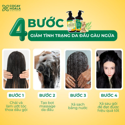 Bộ dầu gội thảo dược gừng dừa Cocayhoala hỗ trợ trị gàu, giảm nấm ngứa, dung tích 440g/chai- 95% thành phần từ gừng tươi hữu cơ còn nguyên xơ gừng, hỗ trợ trị rụng tóc, kích thích mọc tóc vượt trội
