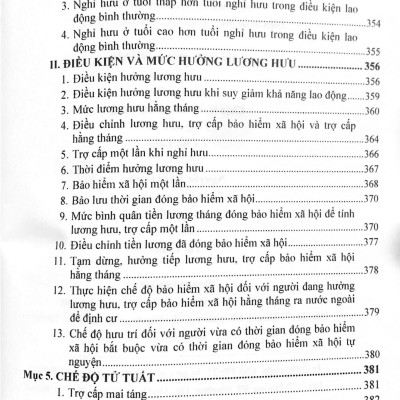 Bộ luật Lao động và Hệ thống thang bảng lương, phụ cấp, chế độ tiền lương, tiền thưởng đối với người hưởng lương làm việc