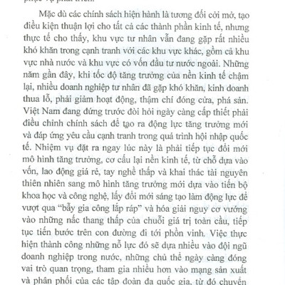 Chính Sách Khuyến Khích Khởi Nghiệp Doanh Nghiệp Của Việt Nam (Sách Chuyên Khảo)