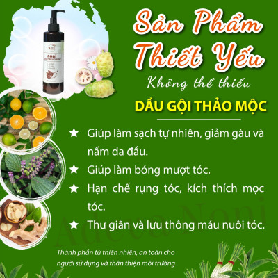 Dầu gội chống gàu ngừa rụng tóc Adeva Noni - 100% từ thảo dược thiên nhiên, không cần dầu xả. Mùi thơm tự nhiên, phục hồi tóc hư tổn, giúp tóc bóng mượt tự nhiên