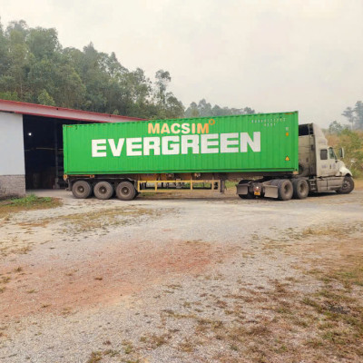 Thảm lót cốp xe ô tô Toyota Raize 2022-2024+ nhãn hiệu Macsim chất liệu TPE cao cấp màu đen