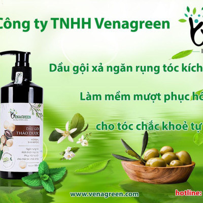 Cặp dầu gội xả thảo dược 300ml VENAGREEN chống xơ tóc, rụng tóc, chăm sóc tóc hư tổn
