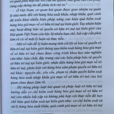 Kiểm Soát Hàng Hoá Giả Mạo Về Sở Hữu Trí Tuệ Tại Biên Giới Của Hải Quan Việt Nam