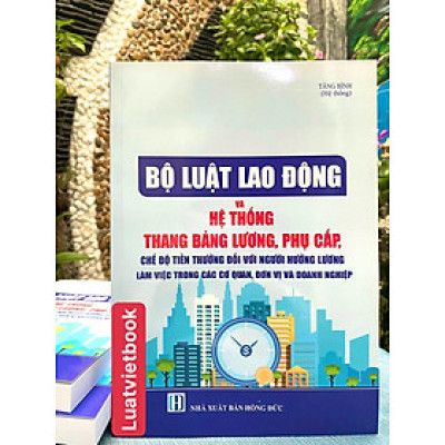 Bộ Luật Lao Động và Hệ Thống Thang Bảng Lương, Phụ Cấp, Chế Độ Tiền Thưởng Đối Với Người Hưởng Lương Làm Việc Trong Các Cơ Quan, Đơn Vị Và Doanh Nghiệp