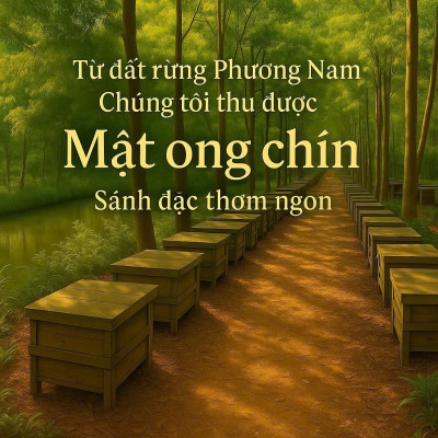 COMBO mua 2 TẶNG 1 cùng loại: Mật ong nguyên chất rừng Phương Nam chai 630g