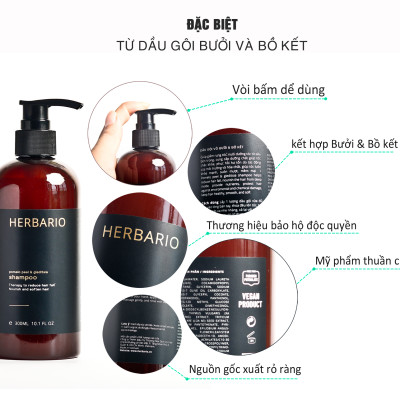 Bộ dầu gội dầu xả tinh dầu vỏ bưởi & bồ kết Herbario 300ml giảm rụng tóc kích thích mọc tóc, giảm gãy rụng cho tóc suôn mượt đen bóng thuần chay