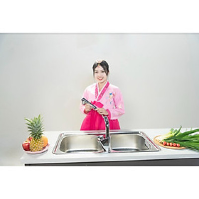 Bồn rửa chén inox 304 2 ngăn cao cấp Lizens ISD 870
