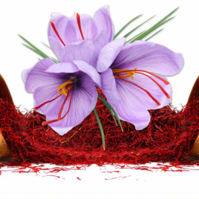 Nhụy hoa nghệ tây Tashrifat Saffron Premium Negin Iran chống lão hóa, làm sáng da,Tăng đề kháng, giảm stress, cải thiện giấc ngủ - OZ Slim Store