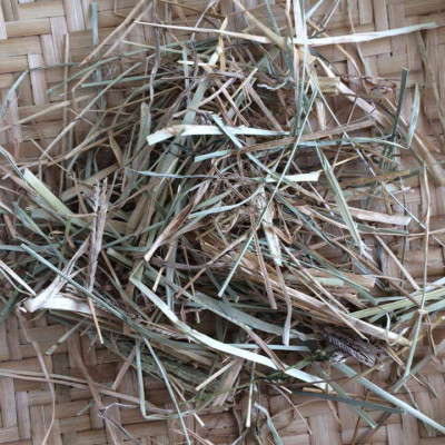 Dầu gội thảo mộc ngăn ngừa rụng tóc sau sinh