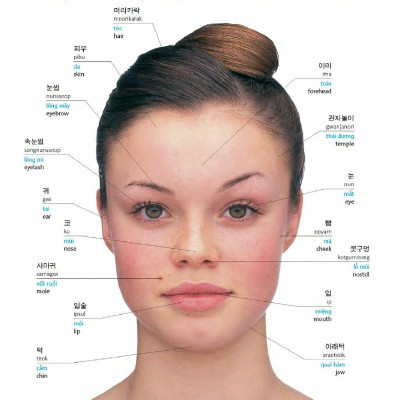 Korean Vietnamese English Trilingual Dictionary