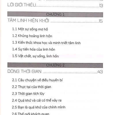 Câu Chuyện Linh Hồn - Chuyến Du Ngoạn Kỳ Bí Và Mầu Nhiệm Về Mục Đích Cuộc Đời (VL)