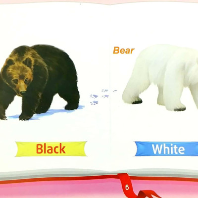 Những Cặp Từ Vựng Trái Nghĩa Và Trò Chơi Ghép Chữ - Opposite Words In Pictures (Tập 2)