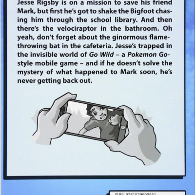 Trapped in a Video Game (Book 2)