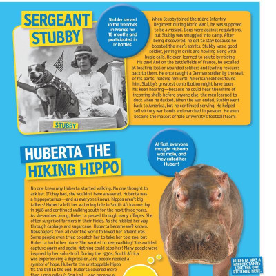 125 Animals That Changed The World